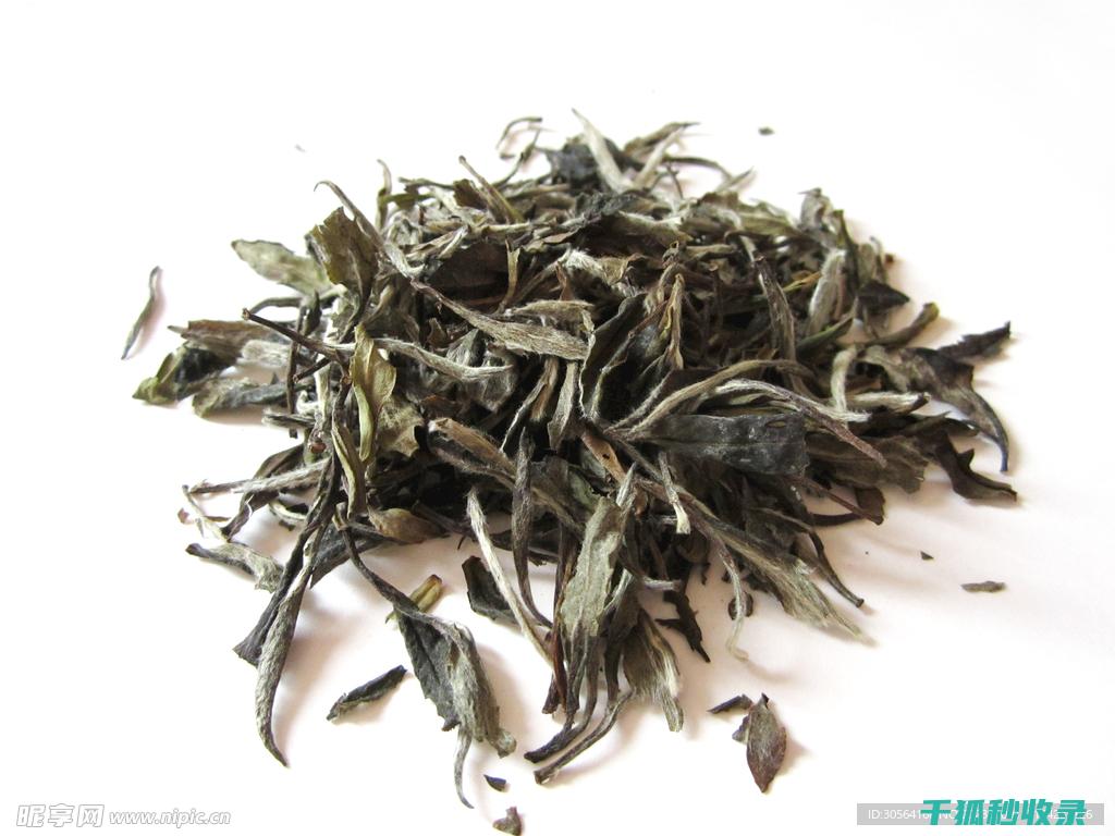 茶叶保存技巧：避免茶叶变质的实用方法 (茶叶保存技巧和方法)
