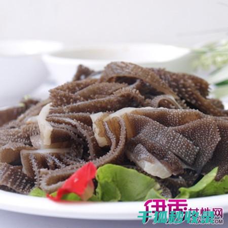 百叶窗除尘：从基础到进阶的系统讲解 (百叶窗除尘器的安装方法和注意事项)