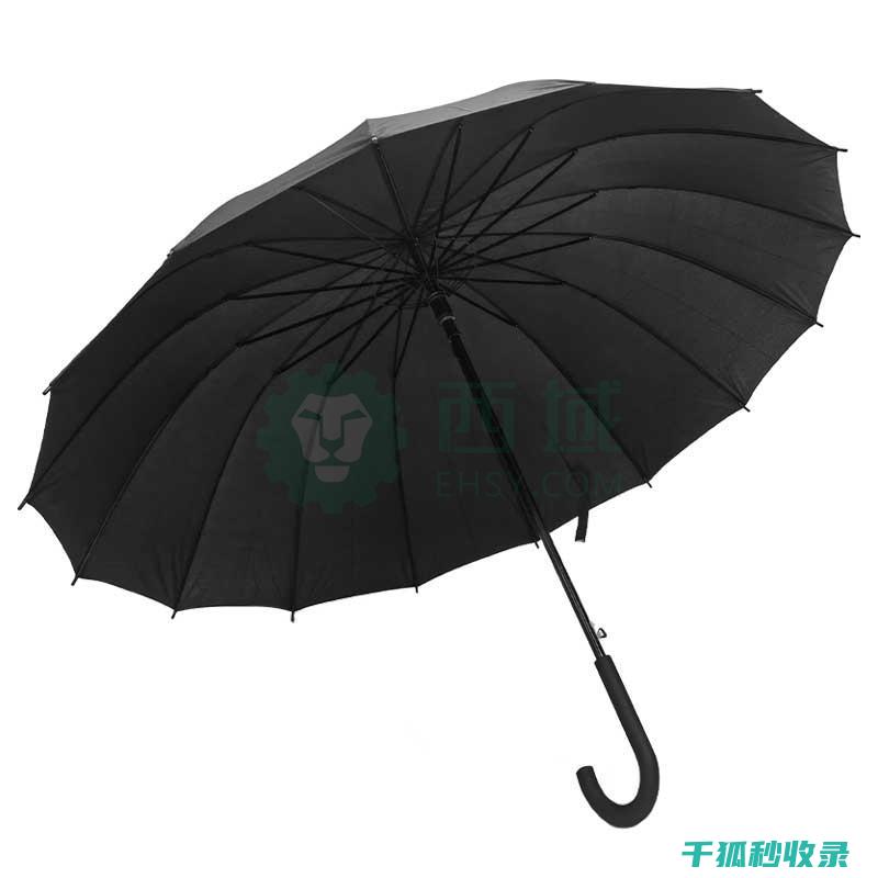 雨伞除锈全解析：从问题到解决方案 (雨伞除锈全解视频)
