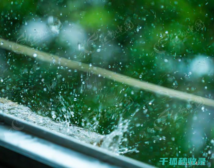 雨水侵袭中的可靠伴侣：雨伞防水性能大揭秘 (雨水侵袭中的英语单词)
