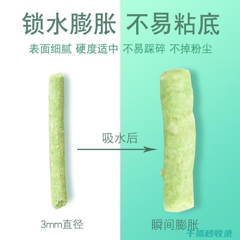 猫砂除臭秘籍：从基础到进阶的全方位指南 (猫砂除臭秘籍大全)