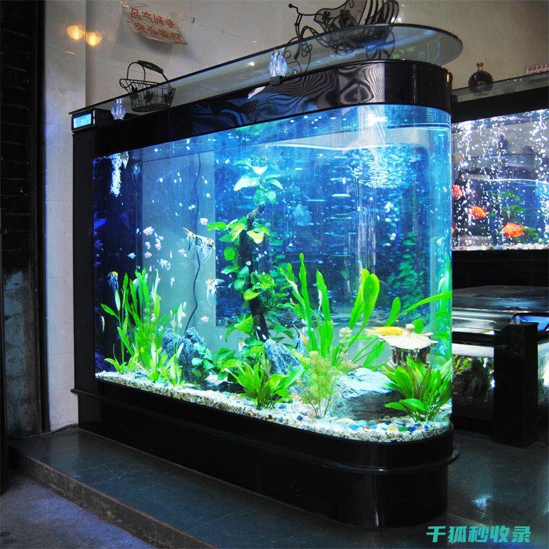鱼缸清洁工具推荐：选购合适的清洁用品 (鱼缸清洁工具大全)