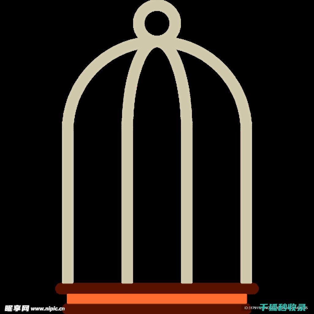 鸟笼清洁技巧：让爱宠鸟儿拥有洁净的栖息地 (鸟笼清洁技巧视频)