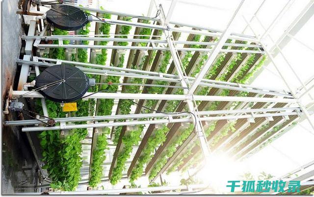 垂直农业与垂直绿化：现代城市中独特的空间利用方式 (垂直农业与垂直的区别)