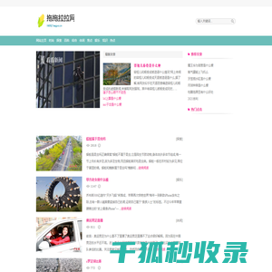 拖拖拉拉网