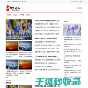 光耀攻略站
